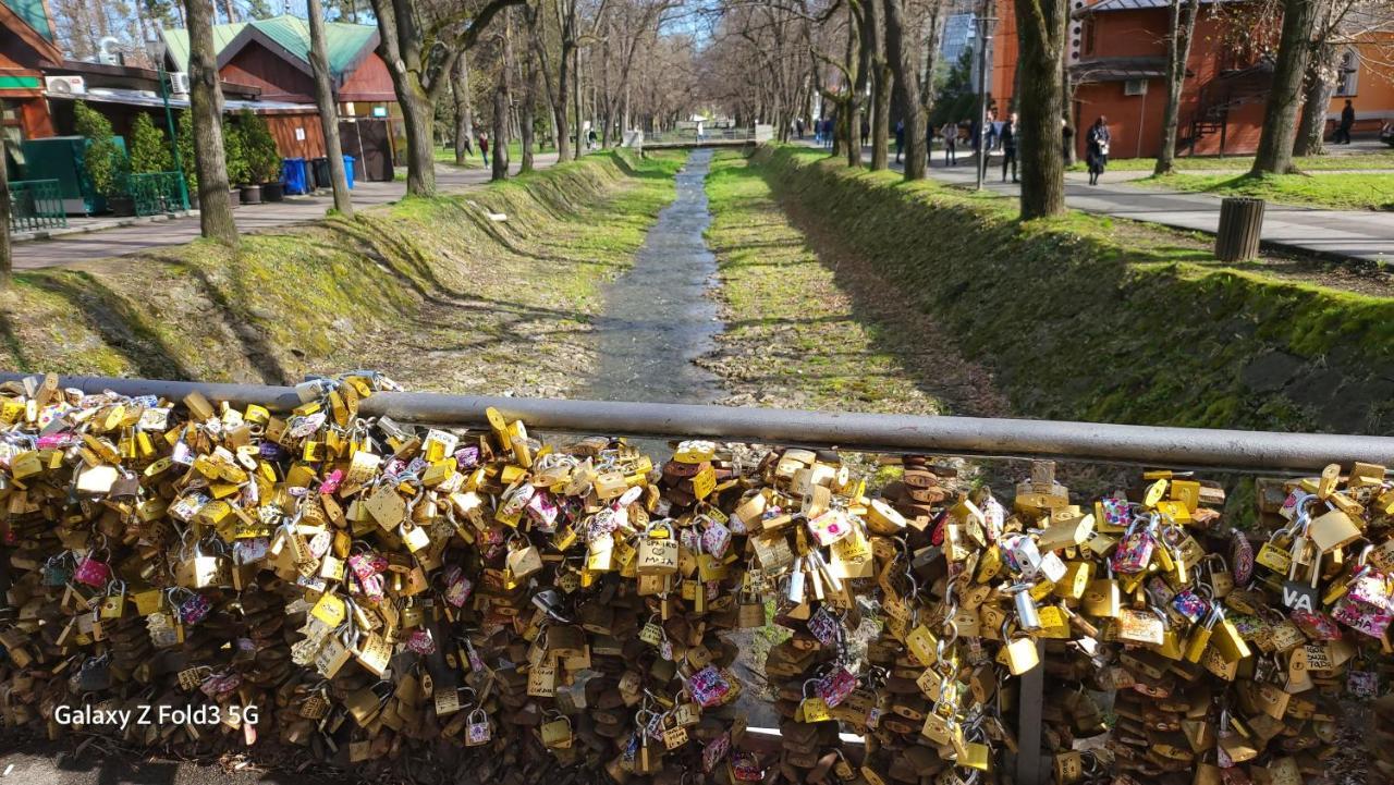 Vrnjačka BanjaRelax Luxアパートメント エクステリア 写真